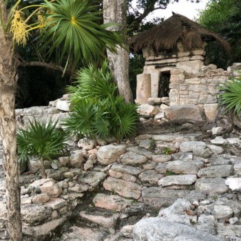 Ruins near Casa Kopfmann in Playa Del Carmen